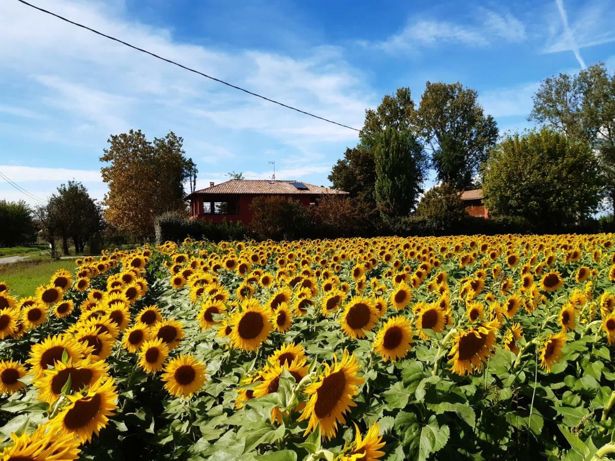 Bed and Breakfast Santa Maria Di Lorgana Минербио Экстерьер фото
