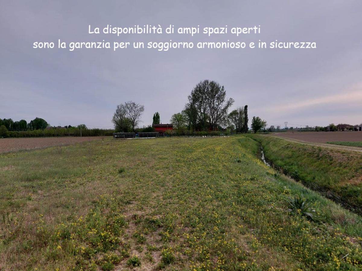 Bed and Breakfast Santa Maria Di Lorgana Минербио Экстерьер фото